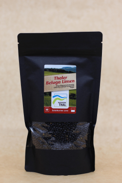 Anicia Thaler Linsen